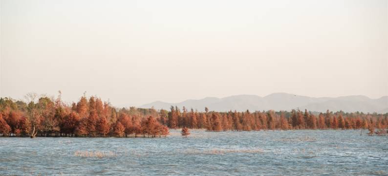 溧阳浅安民宿(1号公路店)图片