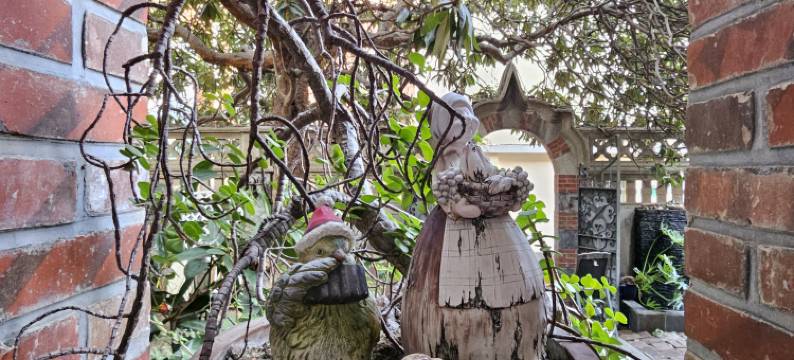 鼓浪屿乐之韵旅馆图片