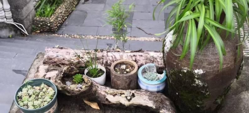 井冈山友间·野奢景观度假民宿图片