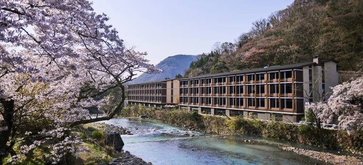 箱根强罗英迪格酒店(Hotel Indigo Hakone Gora)图片