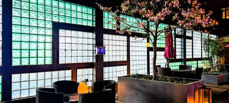 新泰五星假日酒店图片