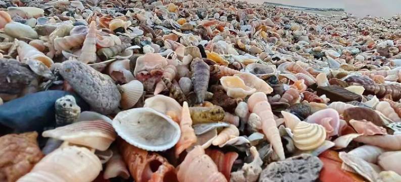 陵水莱福瑞民宿(清水湾雅都荟店)图片