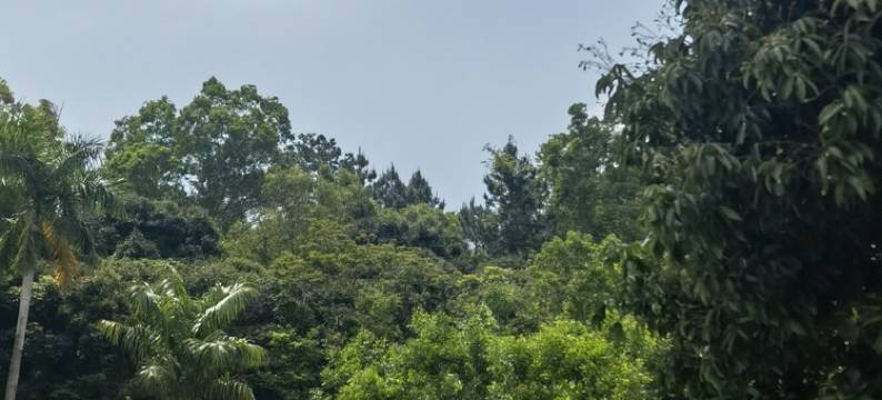 志宏假日公寓图片