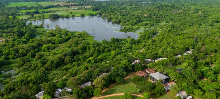 阿育山疗养胜地锡吉里耶(Ayugiri Ayurveda Wellness Resort Sigiriya)图片