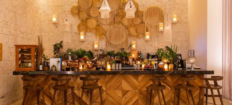 普埃尔托莫雷洛斯五号海滨酒店(The Fives Oceanfront Puerto Morelos)图片