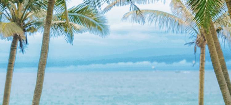 三亚海棠湾君悦酒店图片