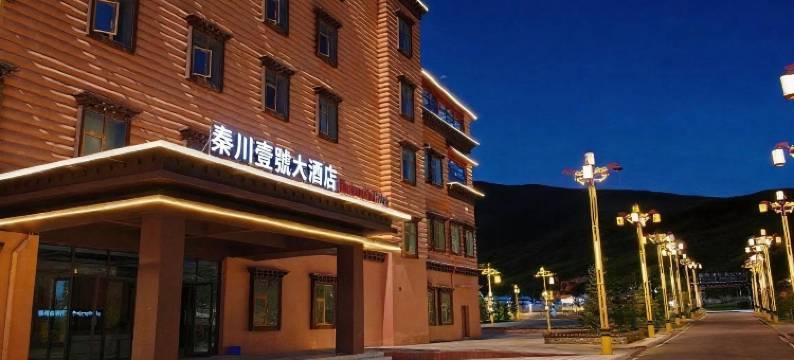 德格秦川壹號大酒店(马尼干戈店)图片