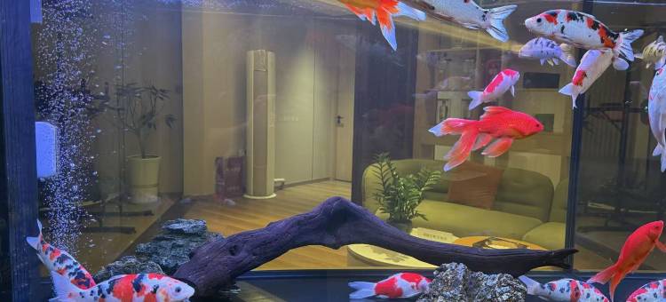 宜宾蓝枫酒店(五粮液生态园宜宾学院店)图片