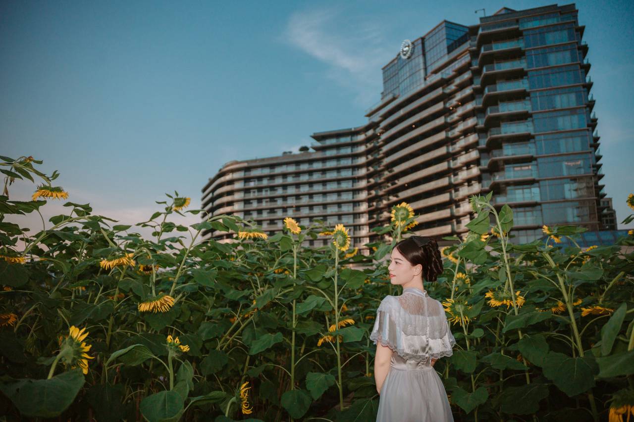 绿城千岛湖喜来登度假酒店图片