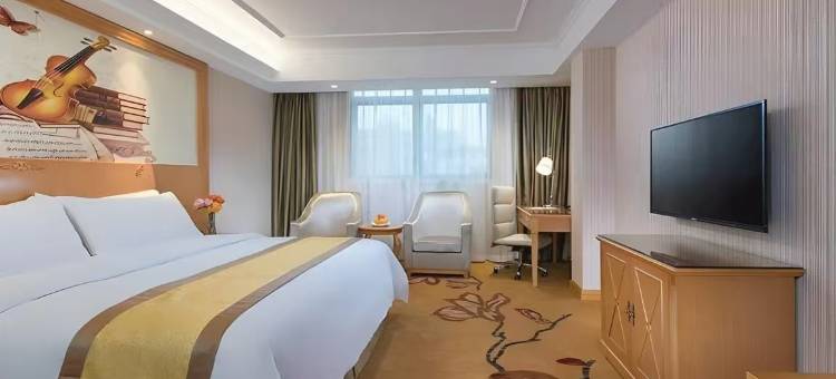 维也纳酒店(佛山顺德锦龙地铁站店)图片