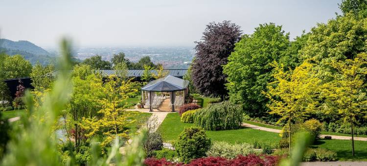 费酒店皮亚乔(Phi Hotel Piajo)图片