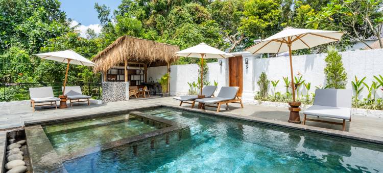 Sacred Jungle by EVDEkimi – Modern Villas and Apartments with Kitchens, Pools图片