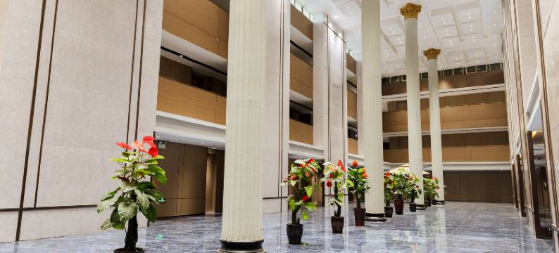 嵩华酒店(白水县政府店)图片