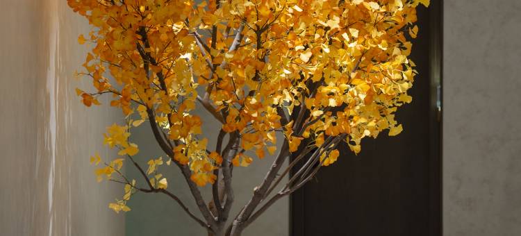 象之屋THE GRAND HOUSE(CBD国际会展中心店)图片