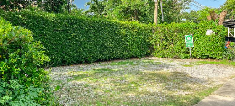 普吉岛查龙码头附近的 BaanMee(BaanMee Phuket near Chalong Pier)图片