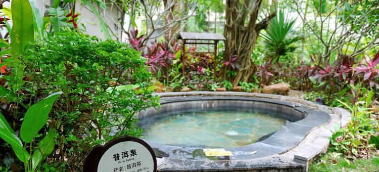 西双版纳景洪雨林公园戴斯温德姆酒店(勐泐大佛寺店)图片