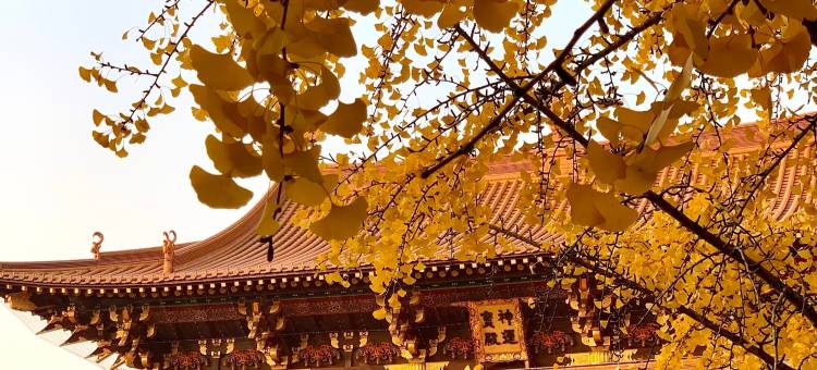 鸿云・Sky Mansion丨城际酒店(九江火车站九江学院店)图片
