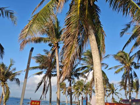 海屿石.轻奢度假民宿(石头公园店)图片