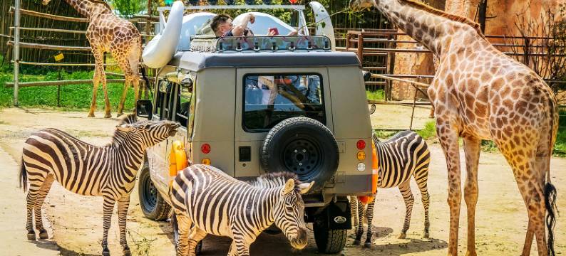 郑州银基黄帝宫御温泉酒店(动物王国店)图片