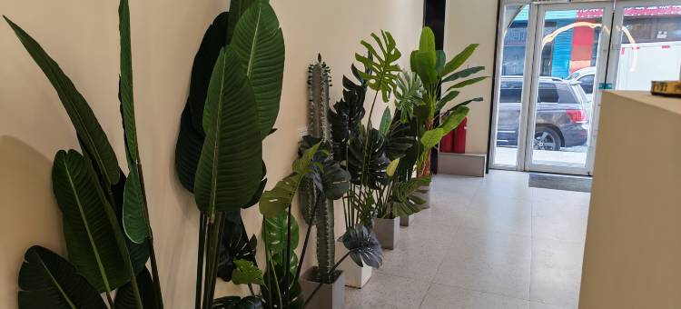 白城家馨宾馆图片