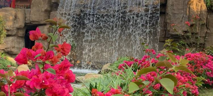 仙游万佳国际温泉度假村(鲤南永鸿文化城店)图片