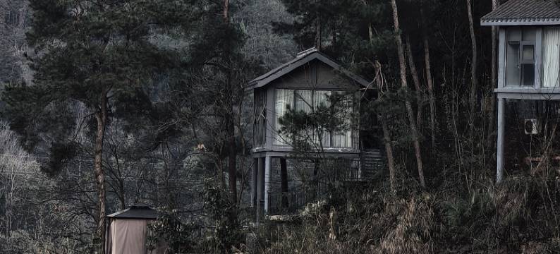 凤凰凤仙境温德姆至尊豪廷温泉酒店图片