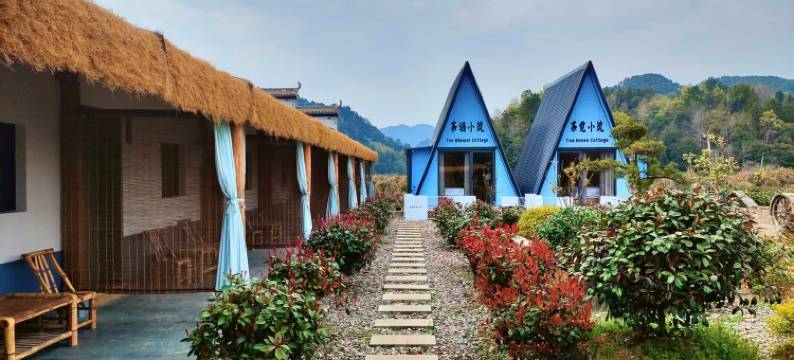 婺源茶园小院图片