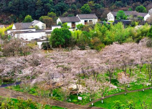 绍兴兰亭璞燊酒店图片