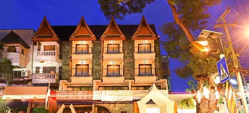 大树老城酒店(Big Tree Old Town Hotel)图片