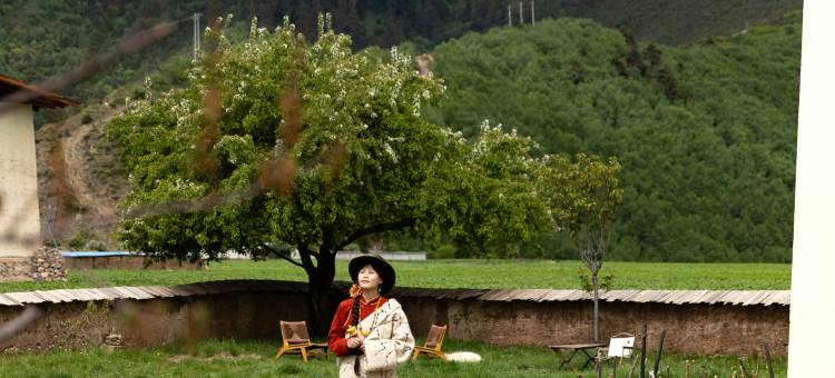 香格里拉青雨·见山归璞庄园(纳帕海景区店)图片