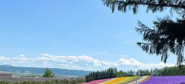 Club Med北海道TOMAMU度假村(Club Med Tomamu Hokkaido)图片