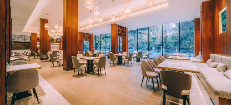 棠湖悠泊豪庭酒店(成都双流国际机场东升地铁站店)图片