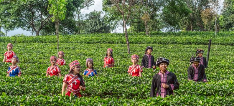 普洱万亩茶园度假酒店(茶博览苑景区店)图片