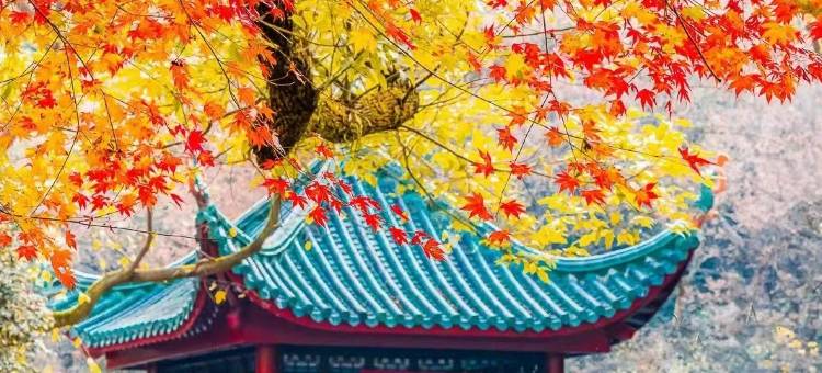欢漫酒店(长沙五一广场南门口地铁站店)图片