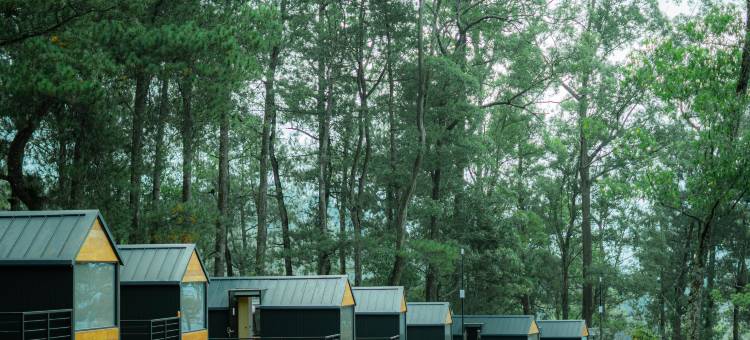 波波卡宾科班隆多玛琅酒店(Bobocabin Coban Rondo Malang)图片