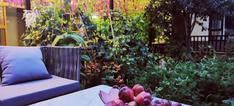 那拉提松叶客栈图片