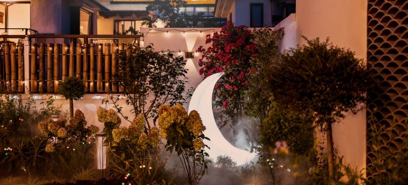 壹棵村草民宿图片