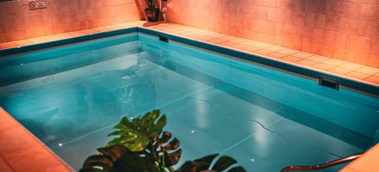 诺德韦克海滩的两兄弟(Two Brothers Noordwijk Beach)图片