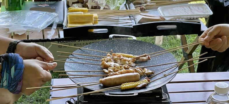 风逸荷塘庄园民宿图片