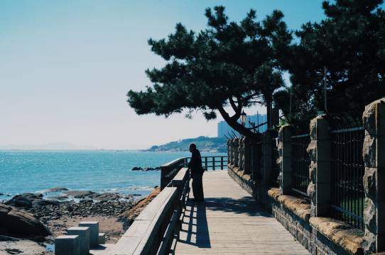 青岛海景花园大酒店图片