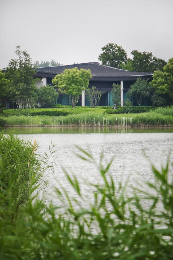 开封建业雅高铂尔曼酒店图片