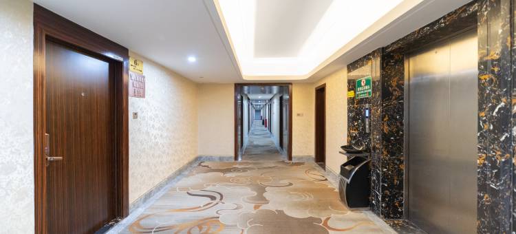 鹏都大酒店(普宁流沙大道市政府店)图片