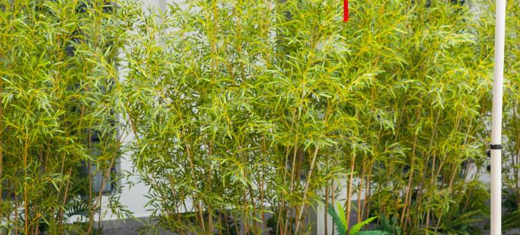 都市悦里S酒店(奥莱广场店)图片