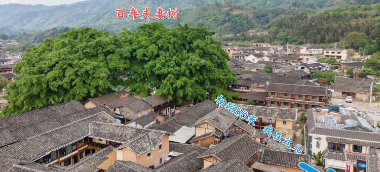 云汐陌野民宿(云水谣水车店)图片