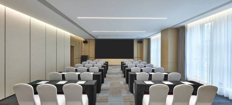 成都高新会展中心福朋喜来登酒店图片