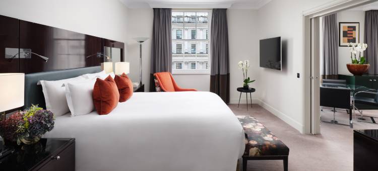 伦敦圣詹姆斯索菲特酒店(Sofitel London St James Hotel)图片