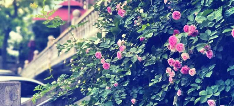 杭州沐曦民宿图片