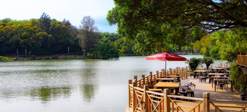 泉州迎宾馆图片