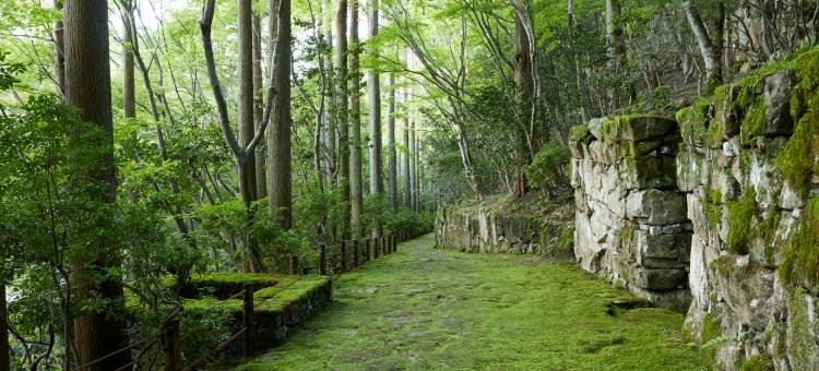 安缦京都(Aman Kyoto)图片