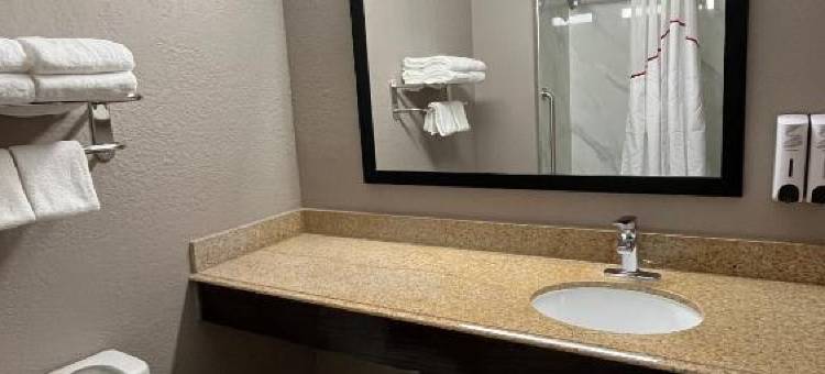 红房顶PLUS+圣安东尼奥东北部酒店(Red Roof Plus+ San Antonio Northeast)图片